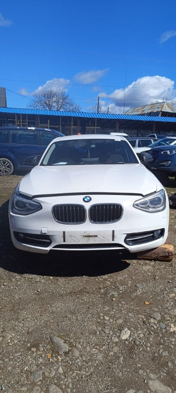 Panou sigurante BMW F20 2011 HATCHBACK 1