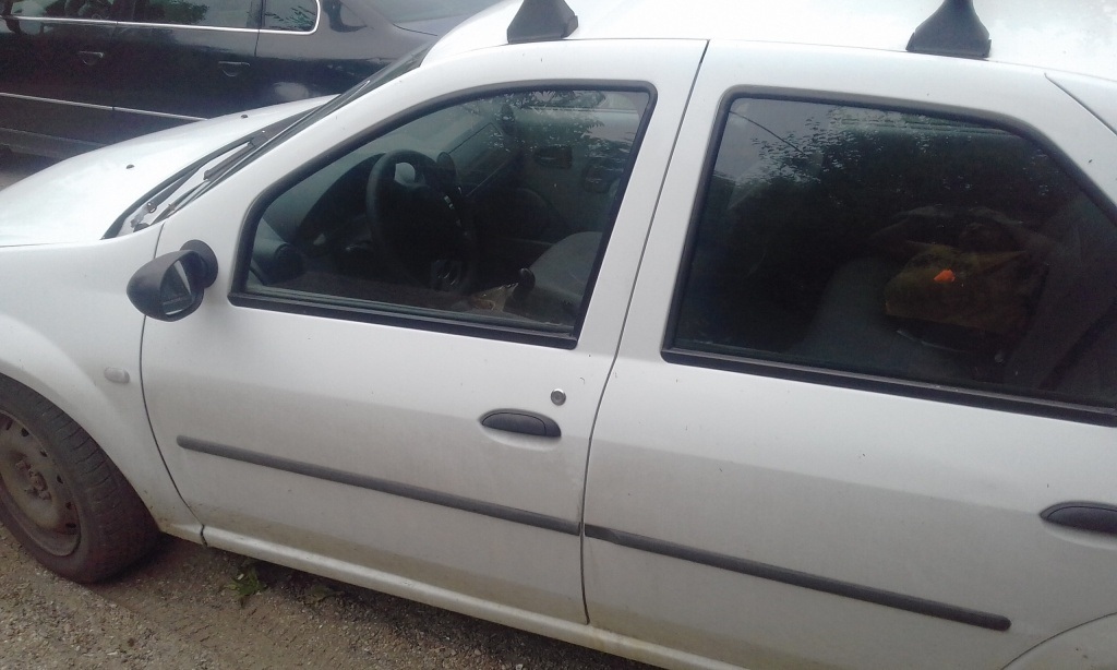 Panou sigurante Dacia Logan 2007 sedan 1