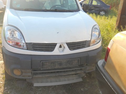 Panou sigurante Renault Kangoo 2007 VAN 16 16V
