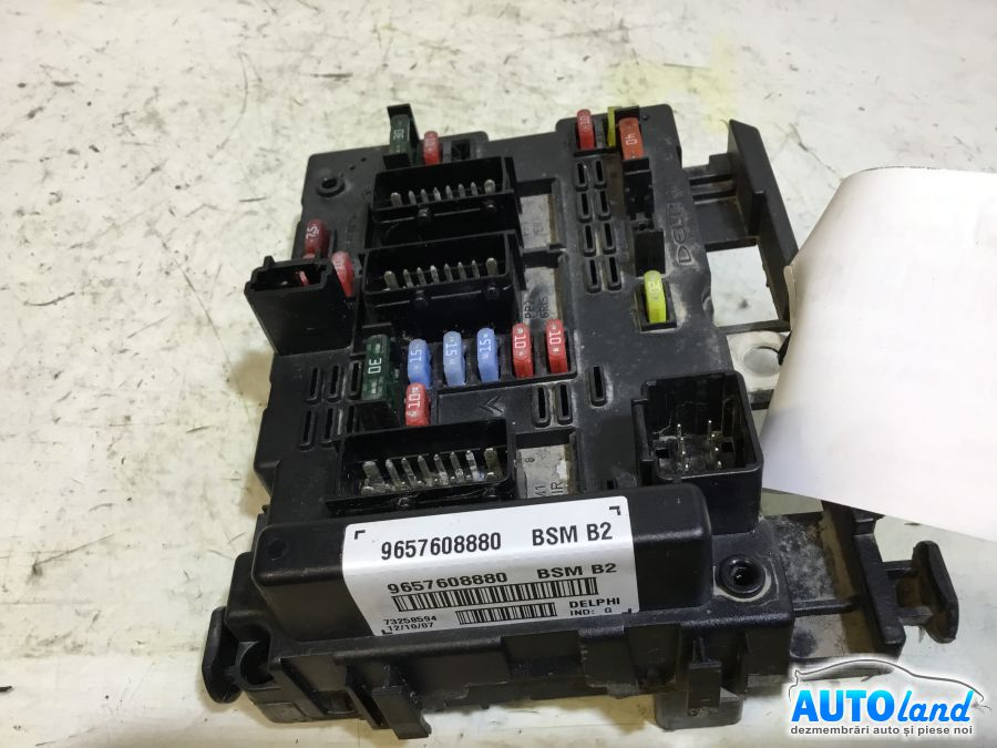 Panou Sigurante tablou 9657608880 Peugeot 206 hatchback 2A/C 1998