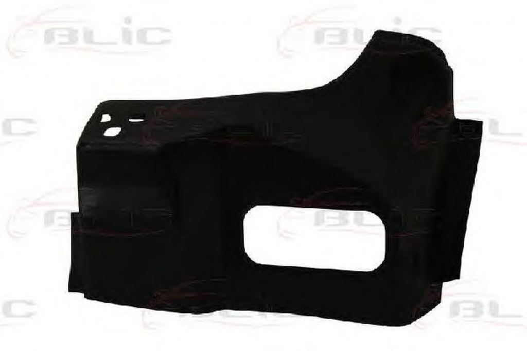 Panou spate MERCEDES-BENZ SPRINTER 4 6-t caroserie 906 BLIC 6504033548701P