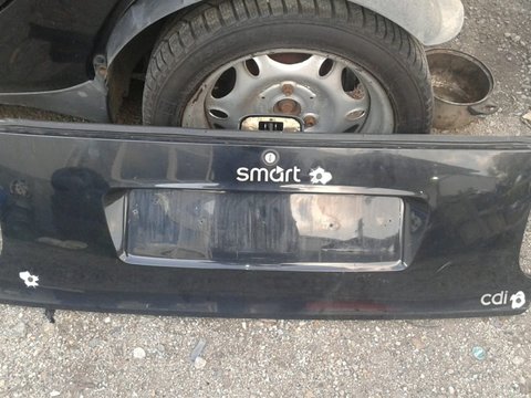 Panou spate Smart Fortwo,an 99-2006
