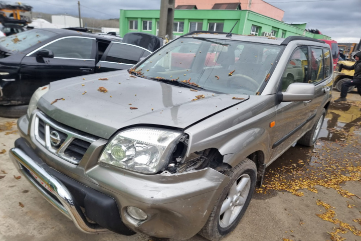 Parasolare Nissan X-Trail 2003 SUV 2.2