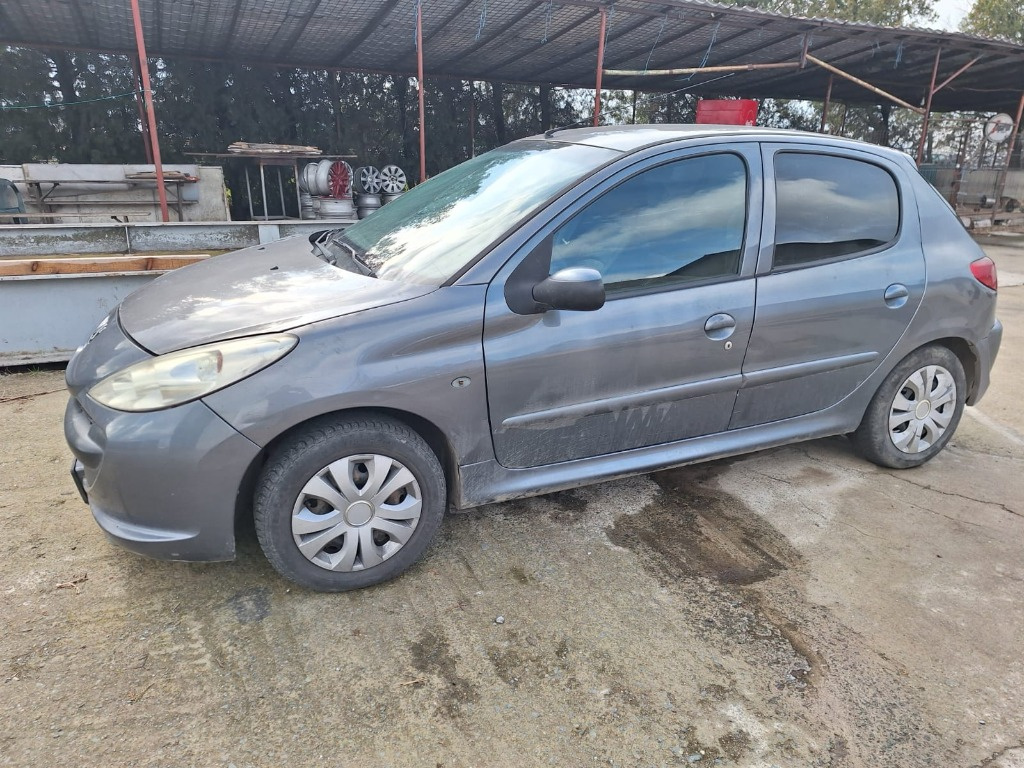 Parasolare Peugeot 206 2010 Hatchback 1,4 HDI