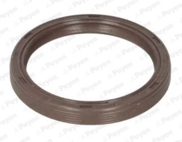 PAYEN Simering, ax cu came NA5310 se potriveste la FORD FIESTA VI (CB1, CCN) 2008 2009 2010 2011 2012 2013 2014 2015 2016 2017