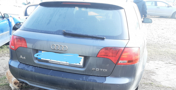 Pedala acceleratie Audi A4 B7 [2004 - 20