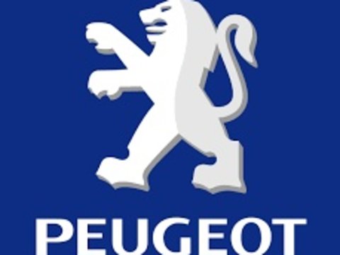 Perdelute geamuri spate pentru Peugeot 508, an 2011-2016