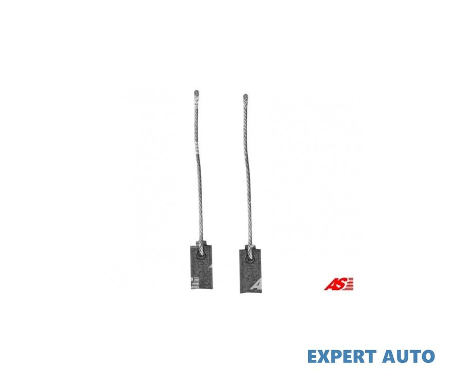 Perie, generator Honda LEGEND (HS, KA) 1986-1991 #8 0210000580