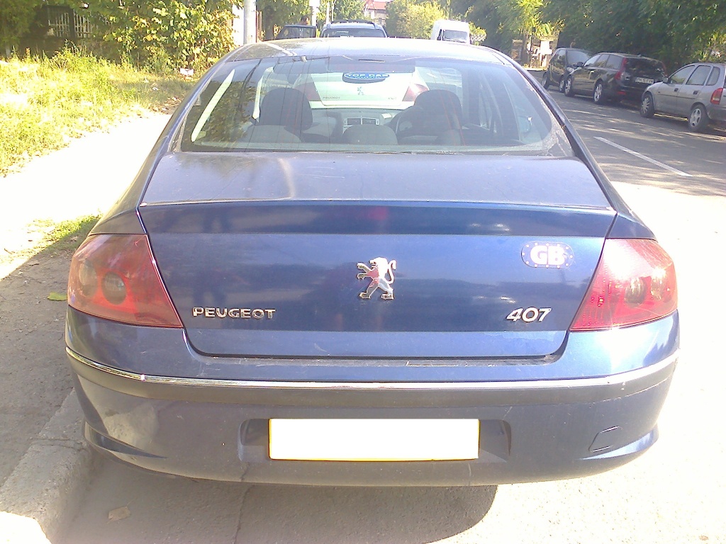 Piese pentru Peugeot 407