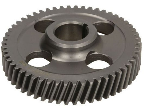 Pinion, pompa ulei BTA B05-AG-270