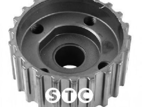 Pinion vibrochen SEAT CORDOBA Vario (6K5) (1999 - 2002) STC T405698