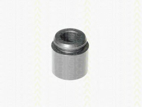 Piston 8170 232803 TRISCAN pentru Volvo V70 Volvo S60 Bmw Seria 1 Bmw Seria 3