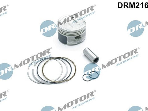 Piston Dr.Motor Automotive DRM21608