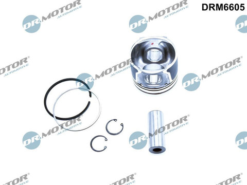 Piston Dr.Motor Automotive DRM6605