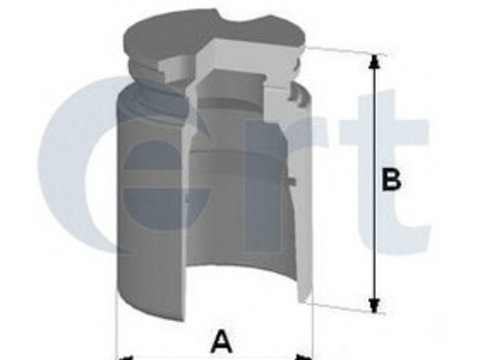 Piston etrier frana 150224-C ERT pentru Opel Astra Opel Zafira Hyundai Ix55 Hyundai Veracruz Peugeot 307 Peugeot Boxer