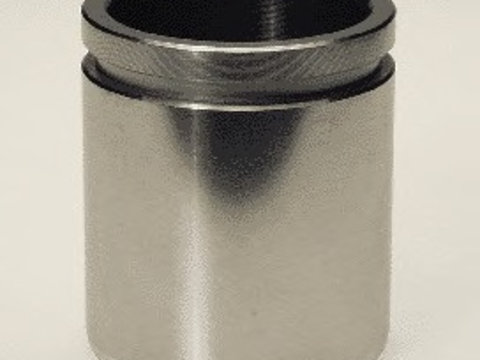 Piston etrier frana 234831 BUDWEG CALIPER pentru Vw Golf Vw Rabbit Vw Jetta Vw Carat Vw Corsar Vw Passat Vw Quantum Vw Santana Vw Scirocco Vw Vento Vw Polo Seat Toledo