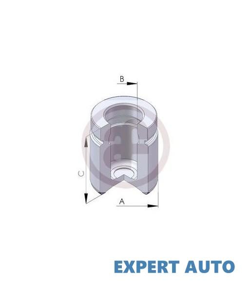 Piston, etrier frana BMW 3 Compact (E46) 2001-2005 #2 150572C