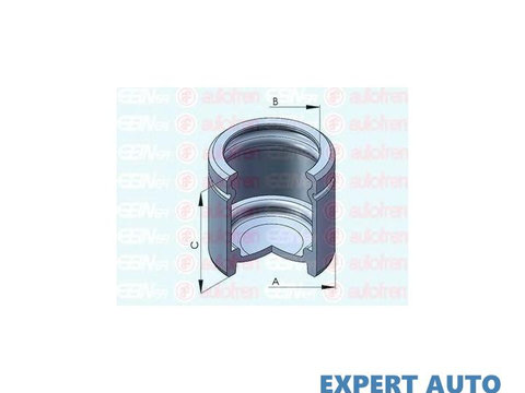 Piston, etrier frana BMW BMW 1 (E87) 2003-2013 #2 13228615021