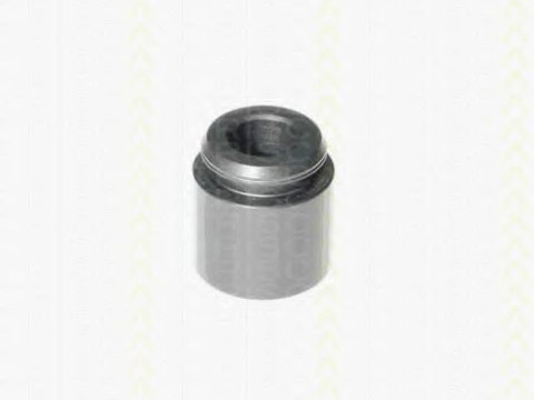 Piston, etrier frana BMW Seria 3 (E90) (2005 - 2011) TRISCAN 8170 232803 piesa NOUA