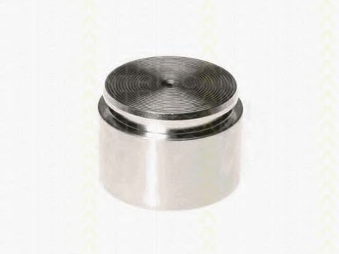 Piston, etrier frana BMW Seria 3 Touring (F31) (2011 - 2016) TRISCAN 8170 234420 piesa NOUA