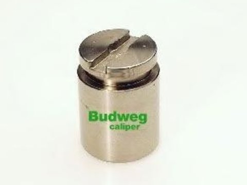 Piston, etrier frana - BUDWEG CALIPER 233421