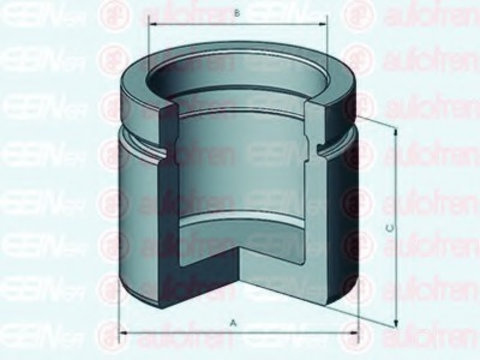 Piston etrier frana D025456 AUTOFREN SEINSA pentru Audi 100 Audi A8 Audi A6 Audi A4 Audi Allroad Vw Passat