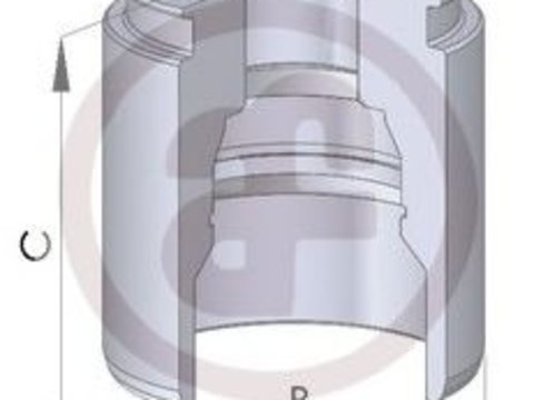 Piston, etrier frana FIAT SCUDO (272, 270) (2007 - 2016) AUTOFREN SEINSA D02593 piesa NOUA