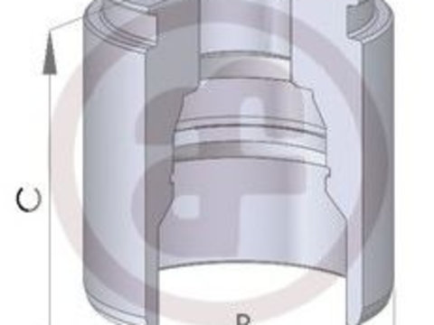 Piston, etrier frana FIAT SCUDO platou / sasiu (272, 270) (2007 - 2016) AUTOFREN SEINSA D02593