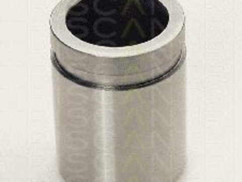 Piston, etrier frana HYUNDAI MATRIX (FC) (2001 - 2010) TRISCAN 8170 233420