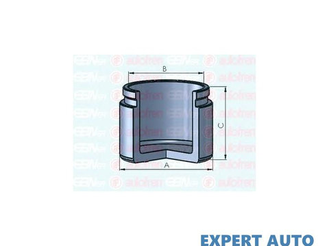 Piston, etrier frana Isuzu TROOPER autoturism de teren, deschis 2000-2016 #2 150789C