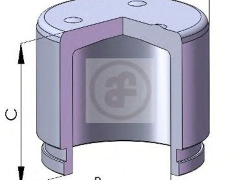 Piston, etrier frana MITSUBISHI OUTLANDER II (CW_W) (2006 - 2012) AUTOFREN SEINSA D025240