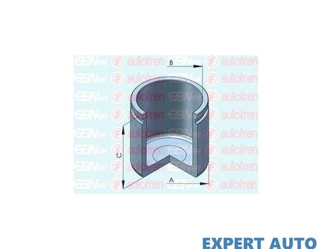 Piston, etrier frana Nissan INTERSTAR bus (X70) 2002-2016 #2 151060C