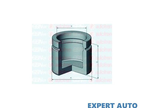 Piston, etrier frana Nissan NAVARA pick-up (D23) 2014-2016 #2 150932C