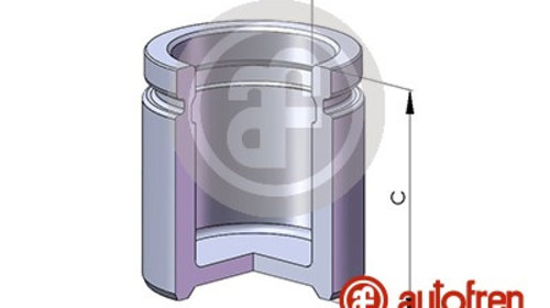 Piston, etrier frana punte fata (D02559 