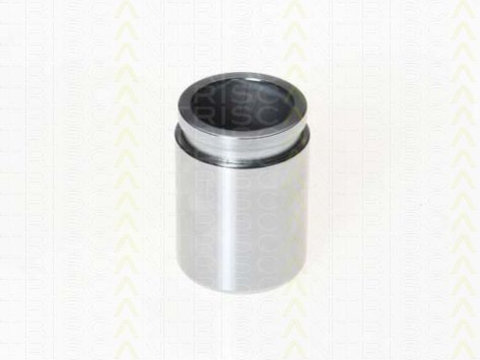 Piston, etrier frana puntea spate (8170233427 TRI) HYUNDAI,KIA