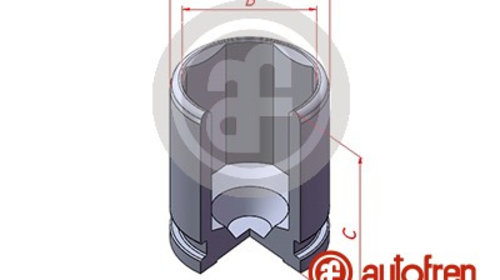 Piston, etrier frana puntea spate (D0255