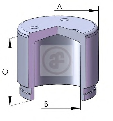 Piston etrier frana # puntea spate Mitsubishi Lancer 2010 2011 2012 2013 2014 2015 2016 2017 2018 2019 2020 2021 2022 2023 2024 2025 # D025240 # AUTOFREN SEINSA