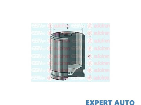 Piston, etrier frana Renault GRAND SCENIC III (JZ0/1_) 2009-2016 #2 13228647026