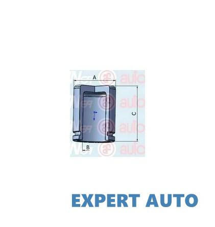 Piston, etrier frana Ssang Yong MUSSO 1993- #8 150787C