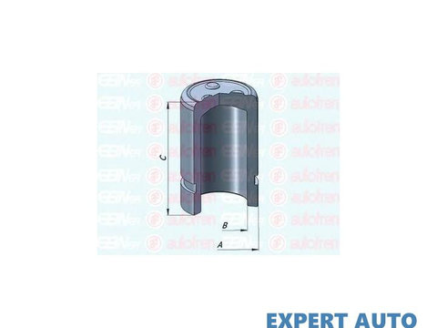 Piston, etrier frana Toyota COROLLA Verso (ZDE12_, CDE12_) 2001-2004 #2 151308C