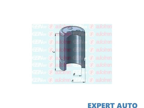 Piston, etrier frana Toyota YARIS VERSO (_NLP2_, _NCP2_) 1999-2005 #2 151069C