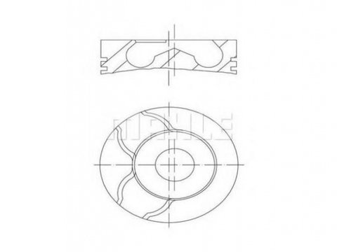 Piston motor Renault GRAND SCENIC II (JM0/1_) 2004-2016 #2 0220100