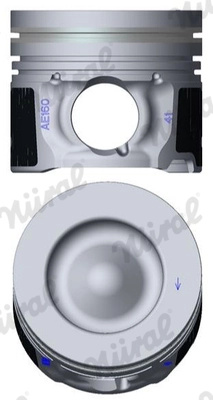 Piston Nüral 87-453100-00