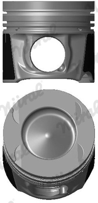 Piston Nüral RENAULT MEGANE III cupe (DZ0/1_) 2011-2015 - 87-424900-00