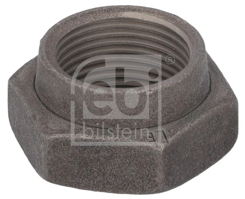 Piulita, fuzeta FEBI BILSTEIN 19159 pentru FIAT DUCATO bus (244_) 2001-2017