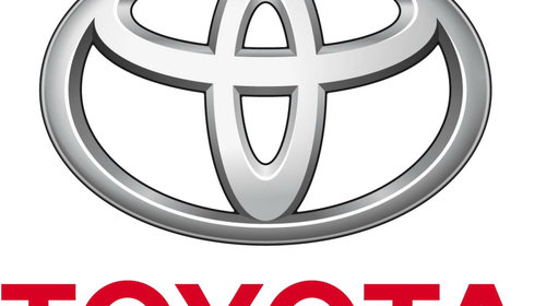 Pivot 4333009510 TOYOTA pentru Toyota Hi