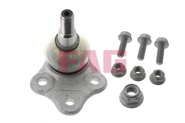 Pivot FAG FORD AUSTRALIA MONDEO combi (MB, MC) 2010-2015 - 825 0298 10
