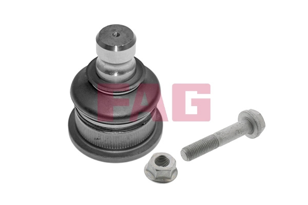Pivot FAG RENAULT GRAND SCÉNIC II (JM0/1_) 2004-2009 - 825 0168 10
