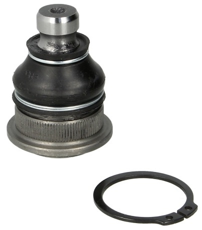 Pivot Fata Dreapta / Stanga Moog Renault Grand Scenic 2 2004→ RE-BJ-2832