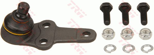 Pivot fata inferior dreapta si stanga (165mm) FORD FOCUS 1.4-2.0 10.98-03.05 TRWJBJ656